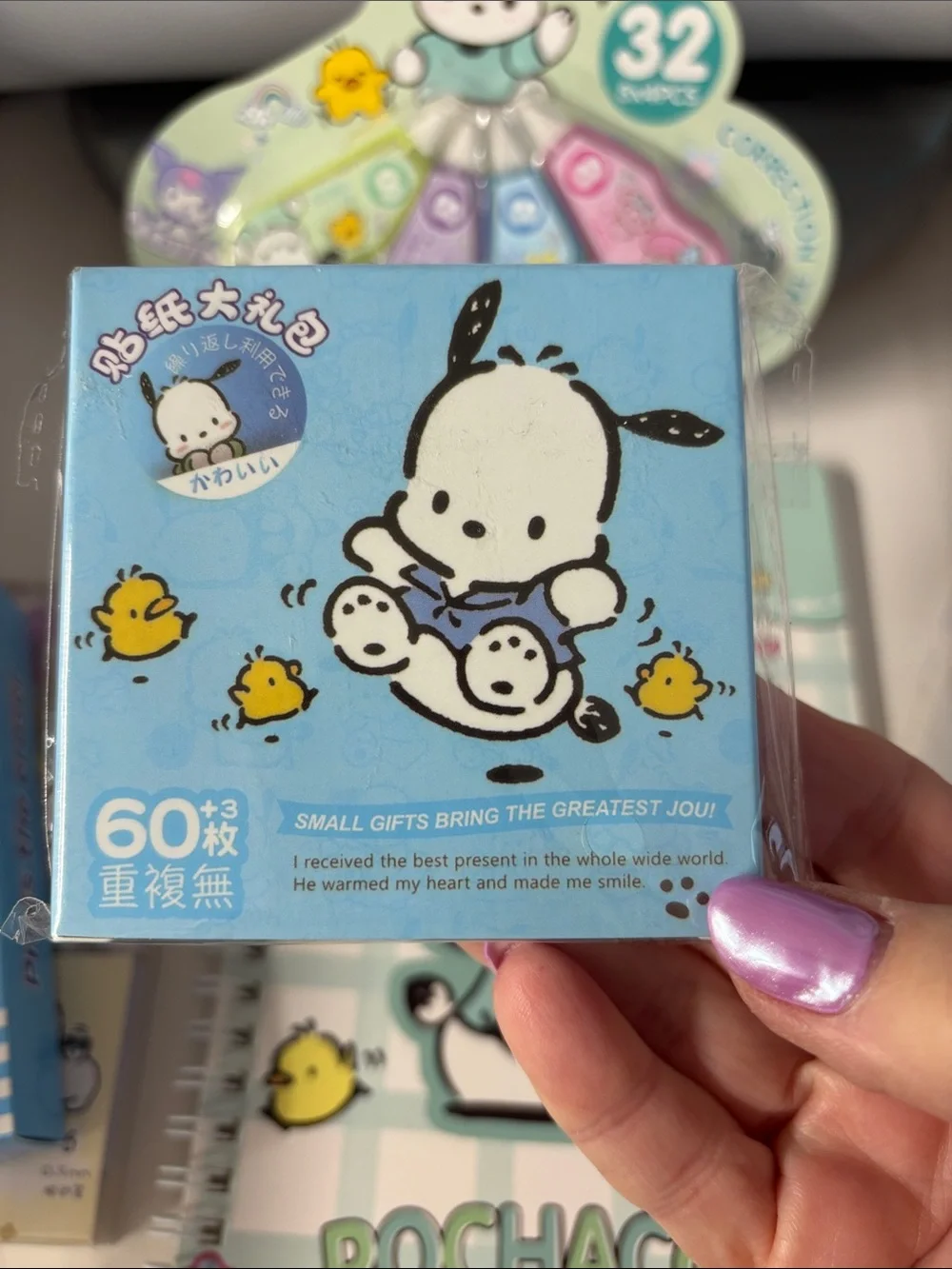 Pochacco - Mint & Pastel Accessories